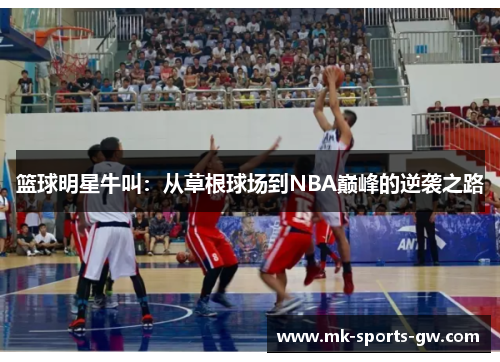 篮球明星牛叫：从草根球场到NBA巅峰的逆袭之路